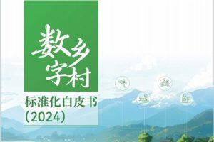 数字乡村标准白皮书（2024），全80页下载