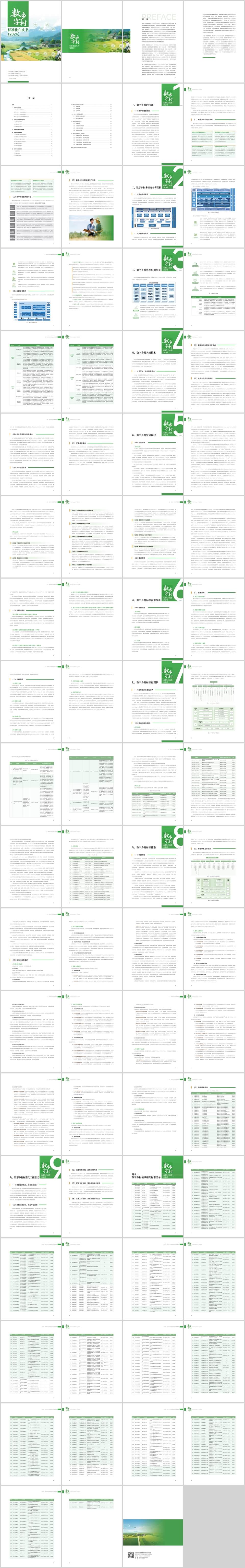 数字乡村标准白皮书（2024），全80页下载